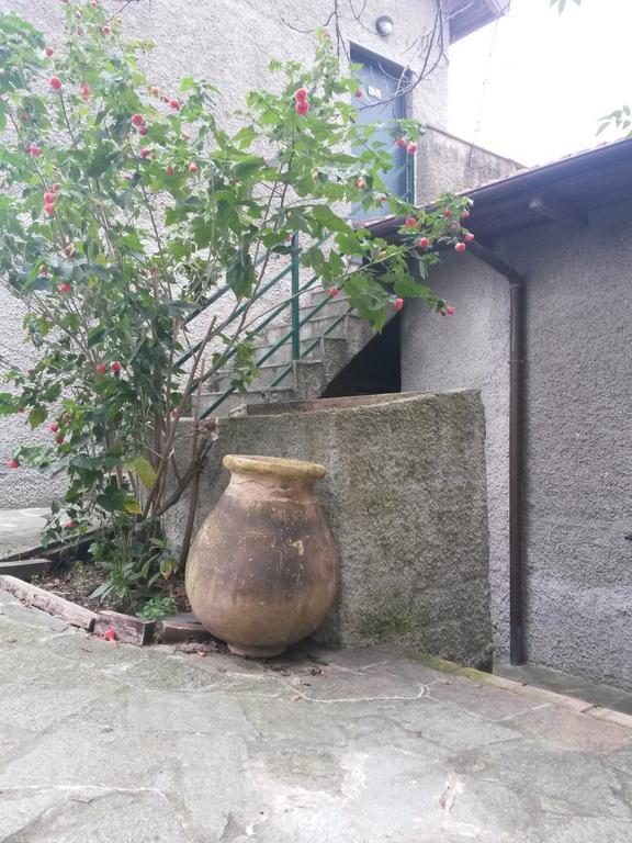 Agriturismo Olivarancio Leivi 外观 照片