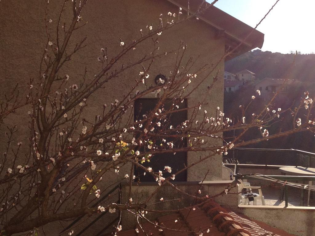 Agriturismo Olivarancio Leivi 外观 照片