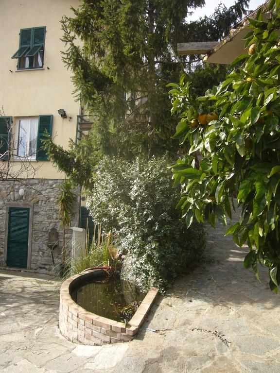 Agriturismo Olivarancio Leivi 外观 照片