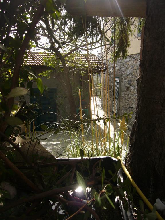 Agriturismo Olivarancio Leivi 外观 照片