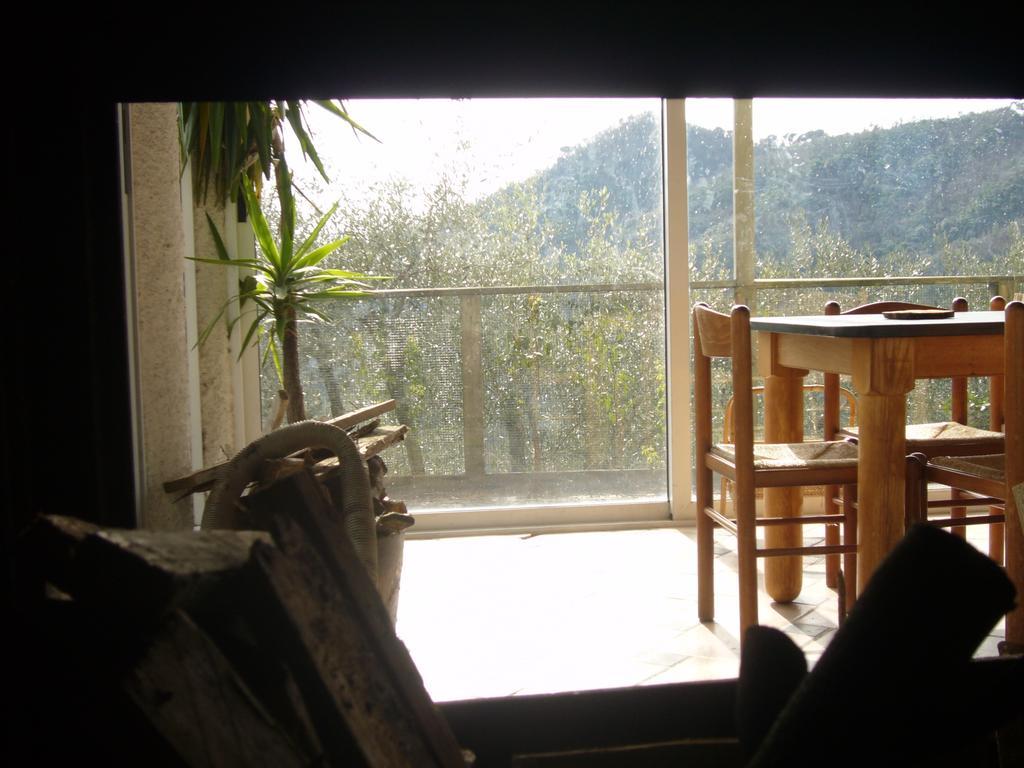 Agriturismo Olivarancio Leivi 外观 照片