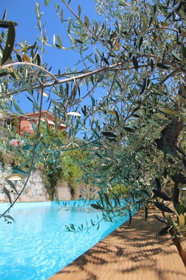 Agriturismo Olivarancio Leivi 外观 照片